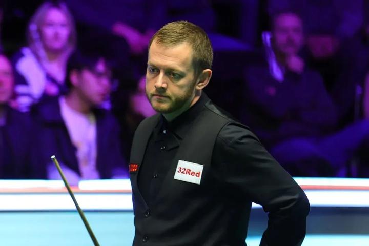 的世界羽毛 的世界羽毛